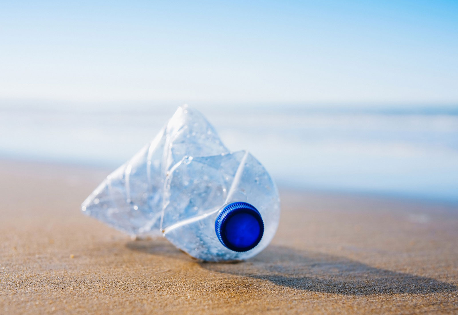 Waste Reduction & Circular Economy